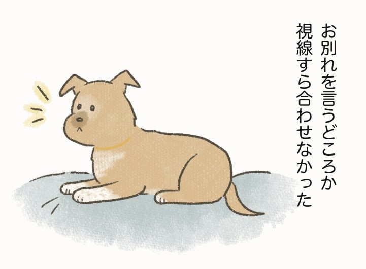 新しいスタート〜ふうちゃん日記29〜 │ たまさんちの 新しいスタート〜ふうちゃん日記29〜 │ たまさんちの