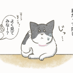 野犬成長日記〜見た目は大事？〜