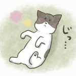 野犬成長日記⑬〜事件です〜