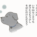 動かない足〜はまじぃとヨメ⑨〜