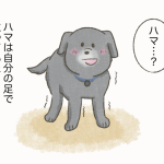 あなたの側に〜はまじぃとヨメ⑩〜